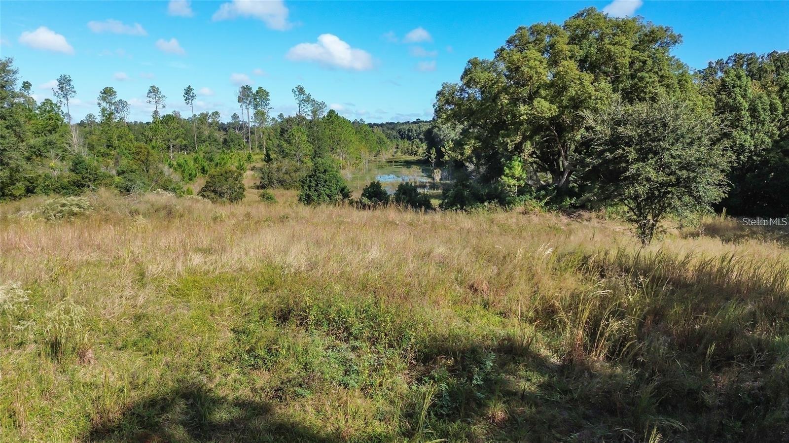 Tree Frog Lot 6 Ln Property Photo 17