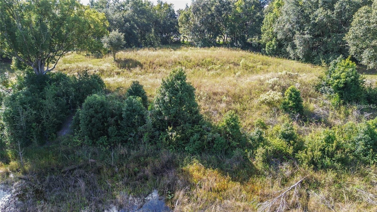 Tree Frog Lot 6 Ln Property Photo 18