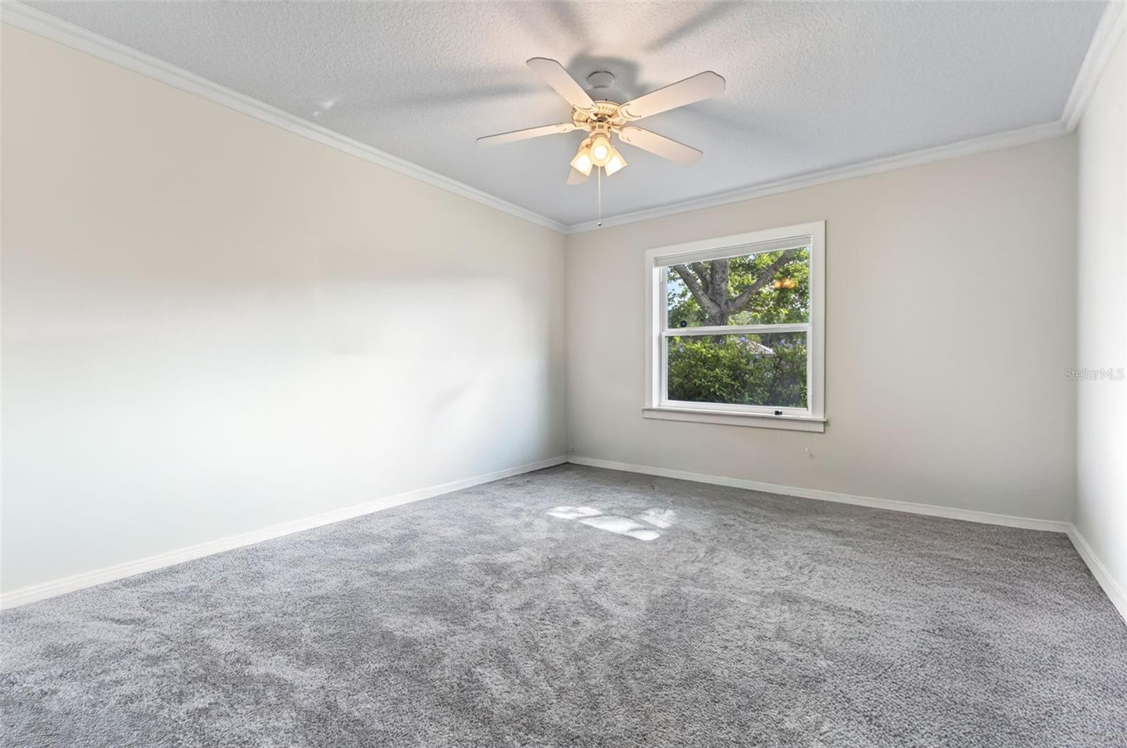 21 Greenvale Dr Property Photo 23