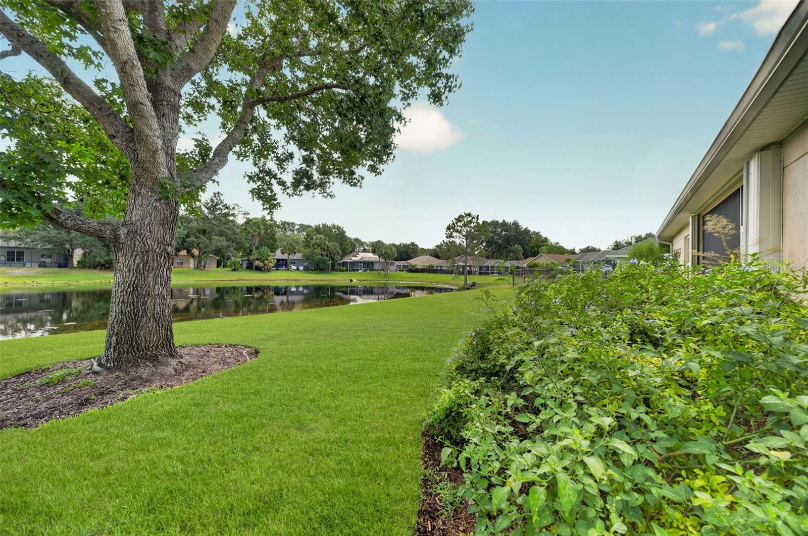 21 Greenvale Dr Property Photo 36