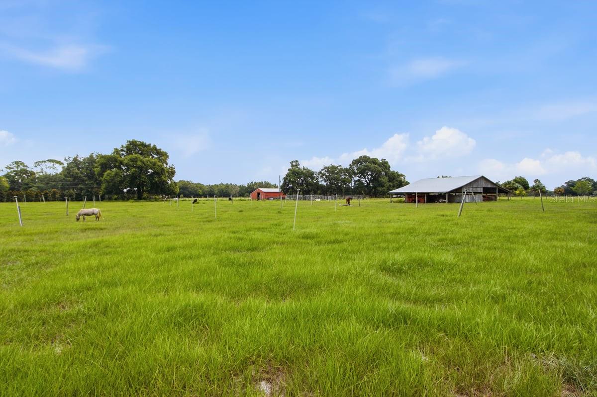 2259 Brownlee Rd Property Photo 54