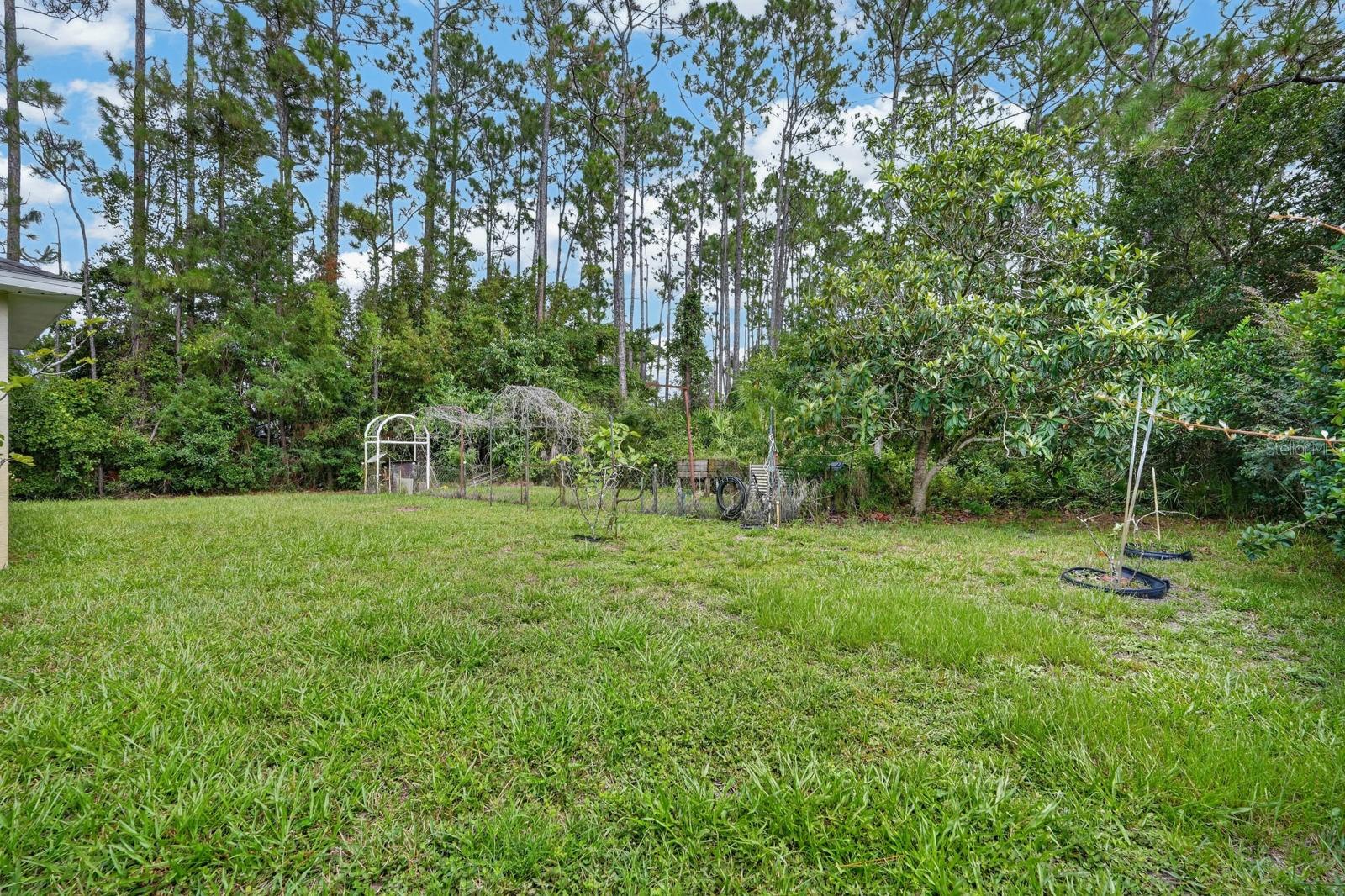 25 Rymshaw Dr Property Photo 19