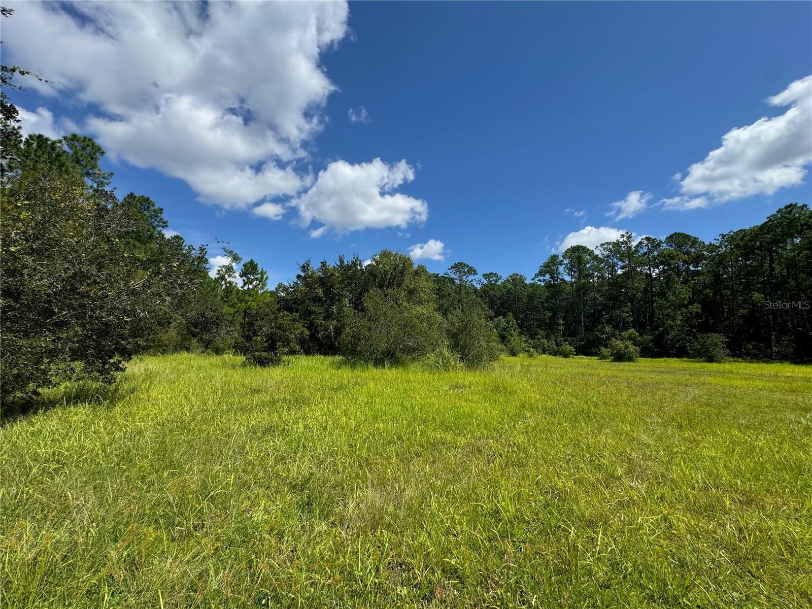 2750 Big John Dr Property Photo 2