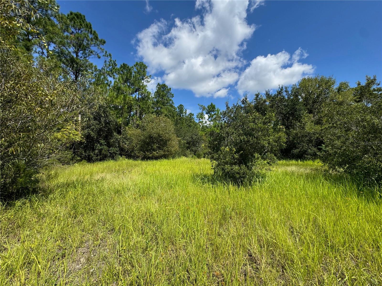 2750 Big John Dr Property Photo 3