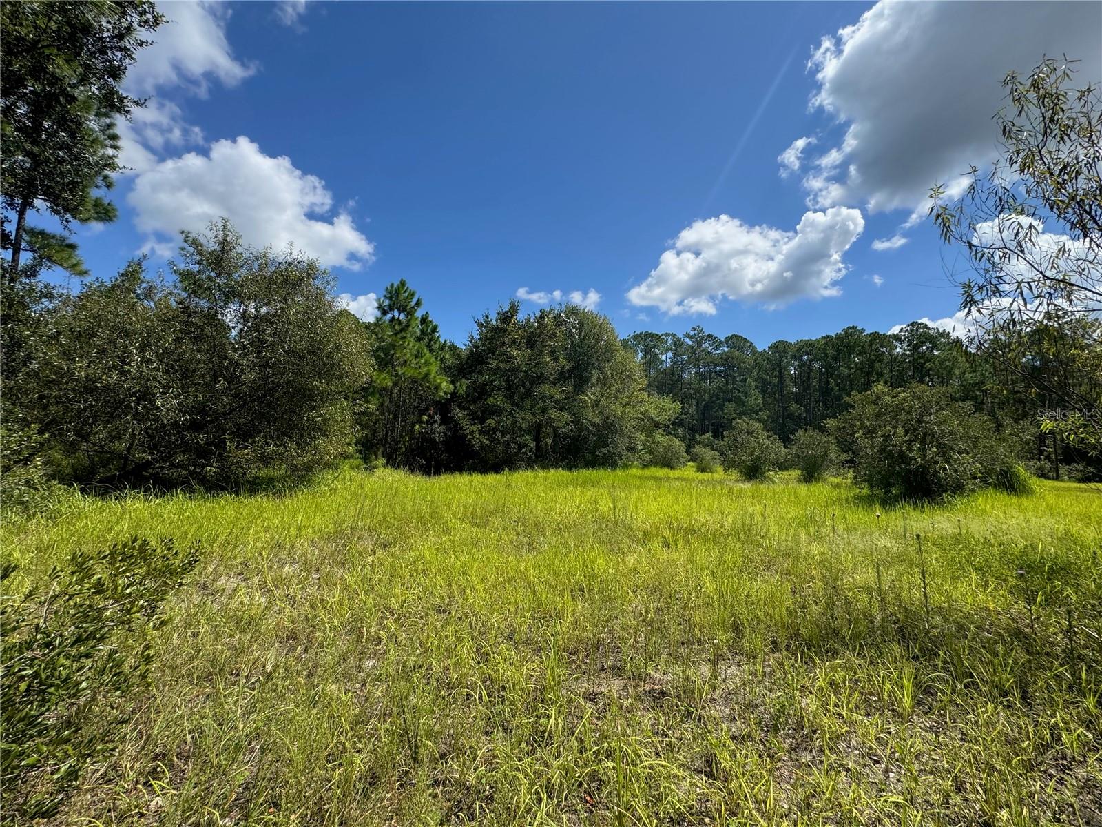 2750 Big John Dr Property Photo 4