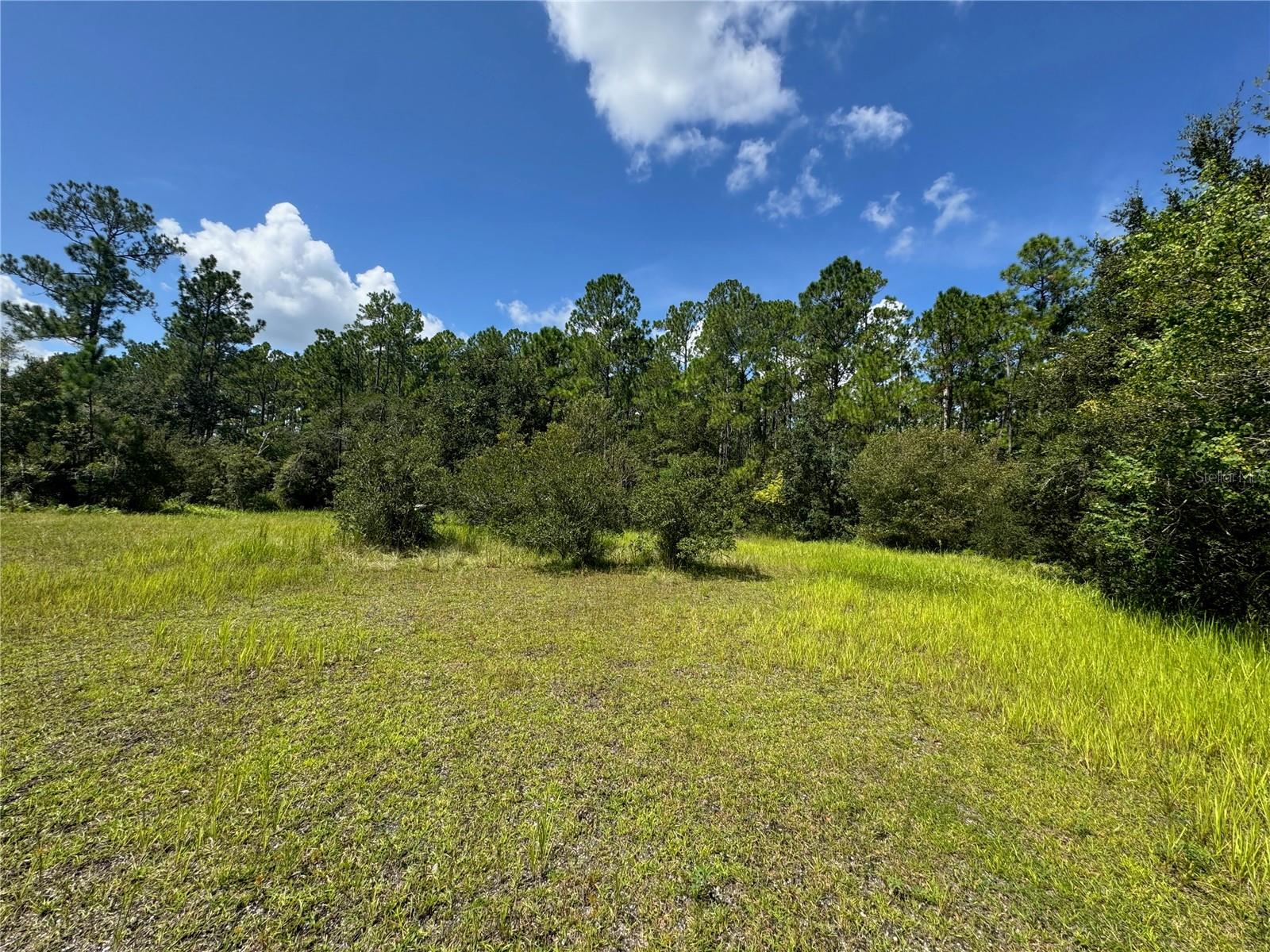 2750 Big John Dr Property Photo 5