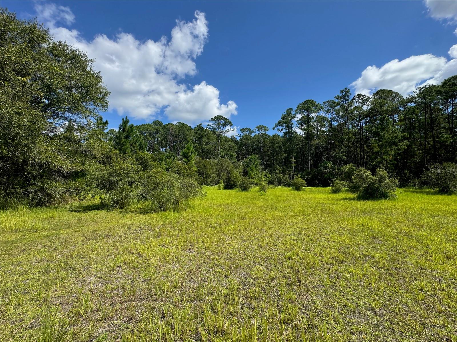 2750 Big John Dr Property Photo 6