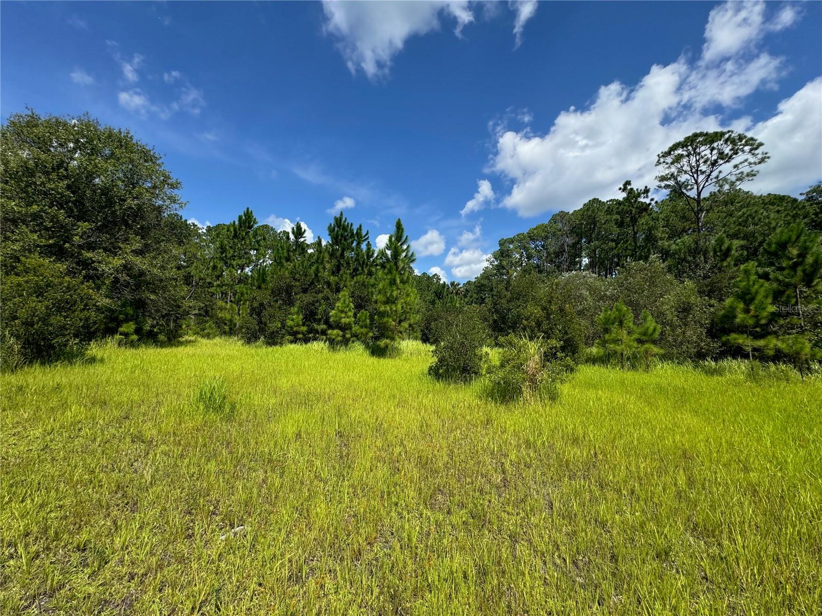 2750 Big John Dr Property Photo 7