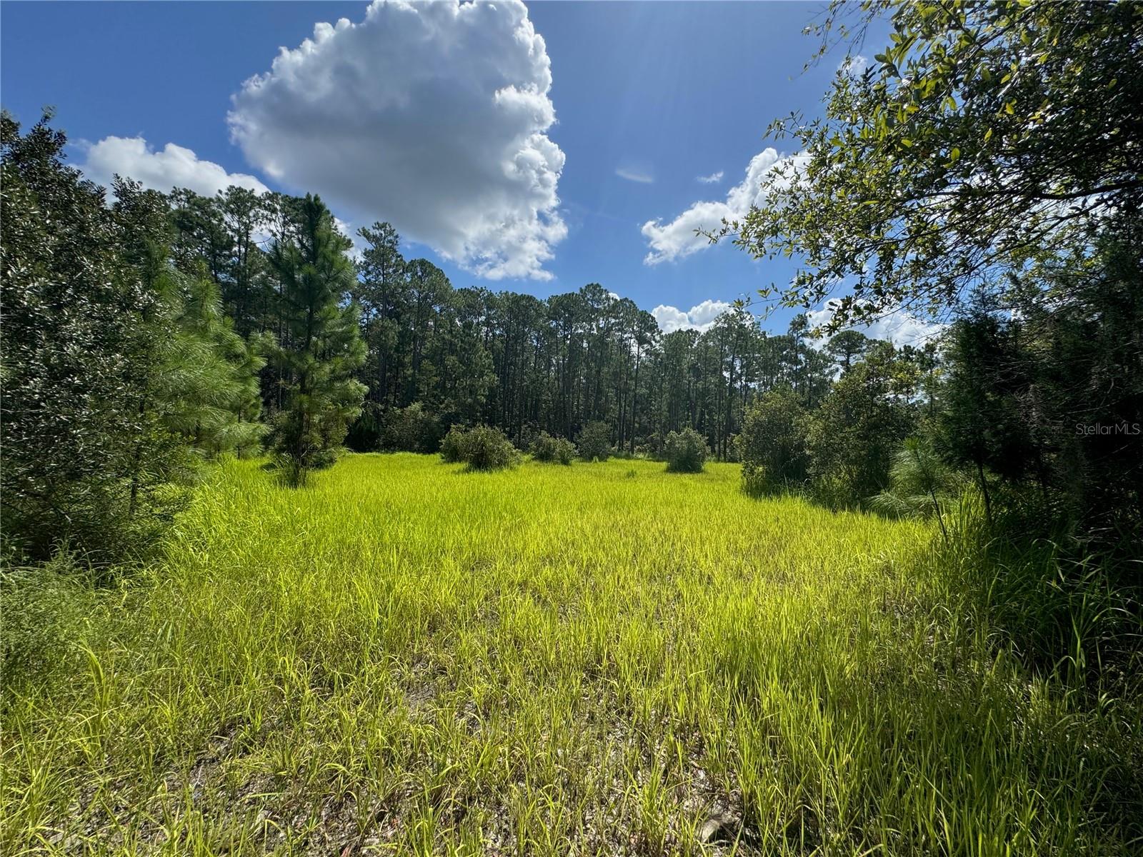 2750 Big John Dr Property Photo 8