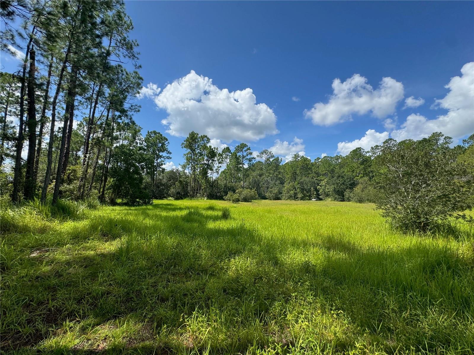 2750 Big John Dr Property Photo 11
