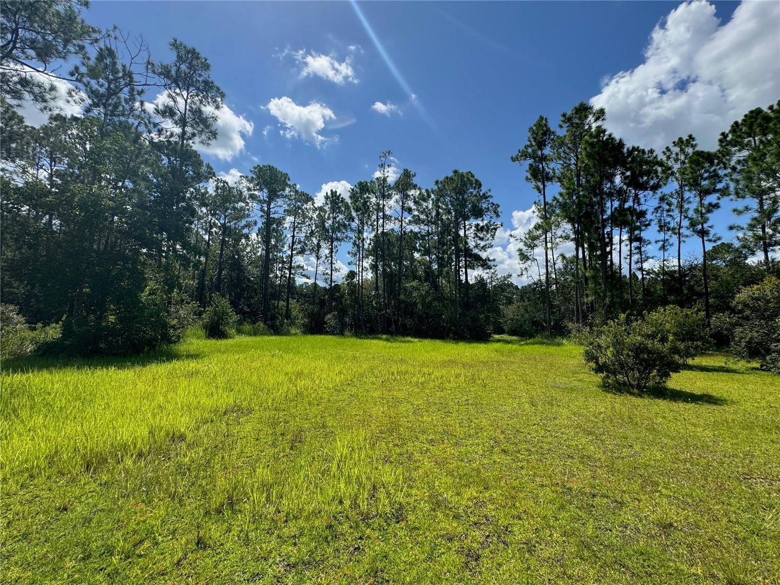 2750 Big John Dr Property Photo 14