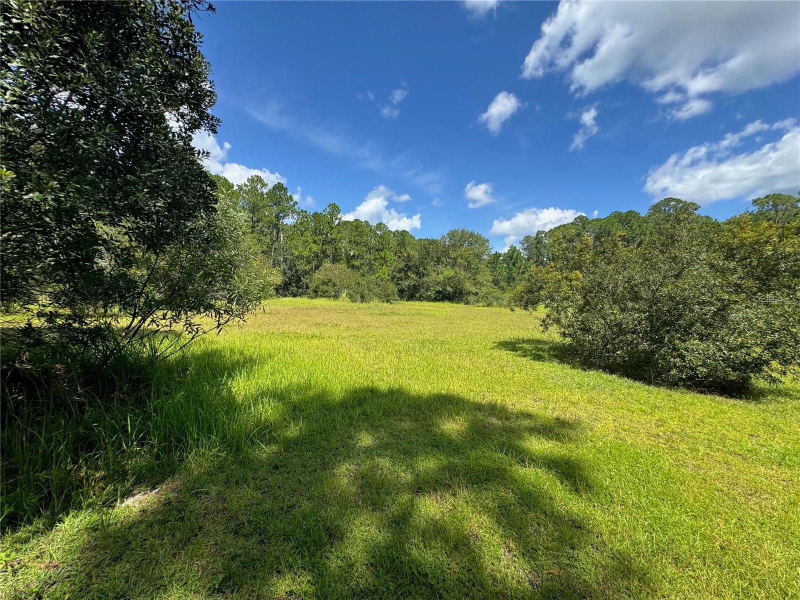 2750 Big John Dr Property Photo 15