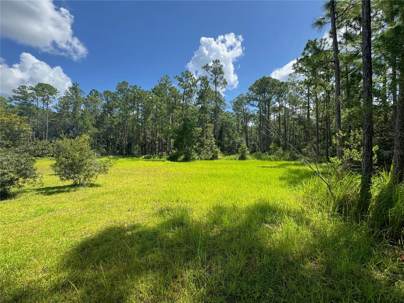 2750 Big John Dr Property Photo 16