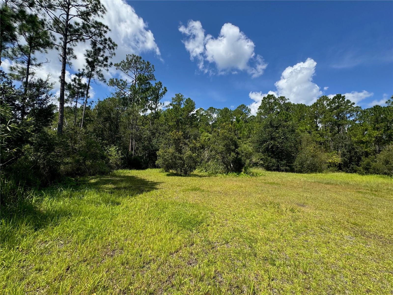 2750 Big John Dr Property Photo 17