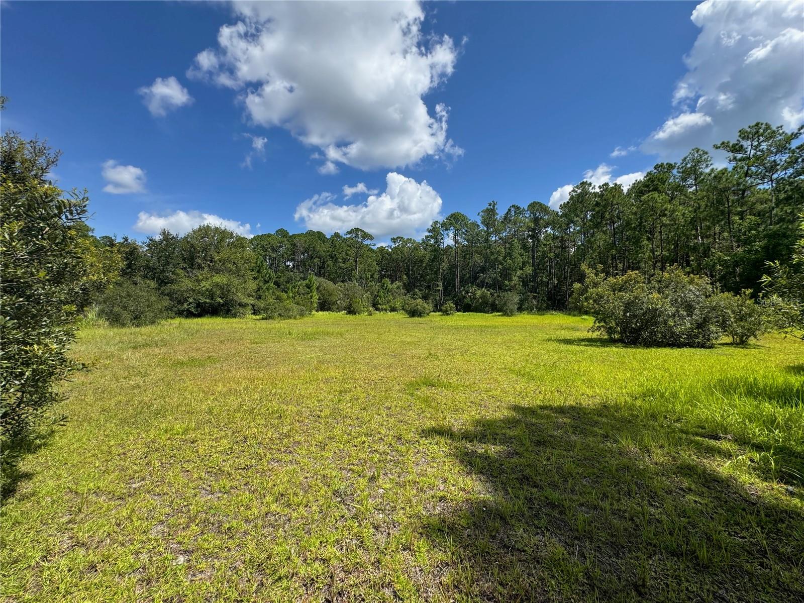 2750 Big John Dr Property Photo 18