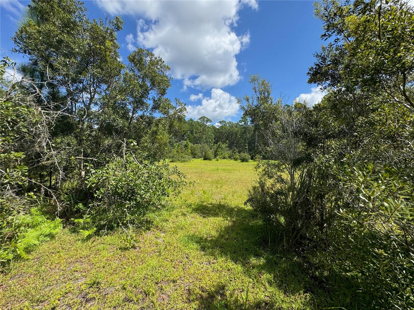 2750 Big John Dr Property Photo 19