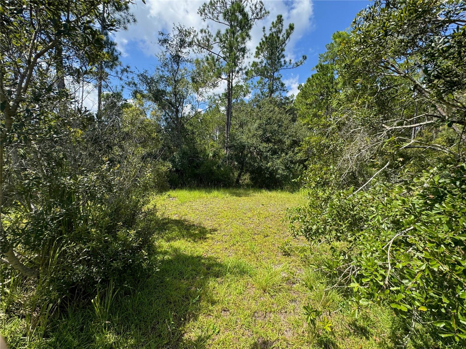 2750 Big John Dr Property Photo 20