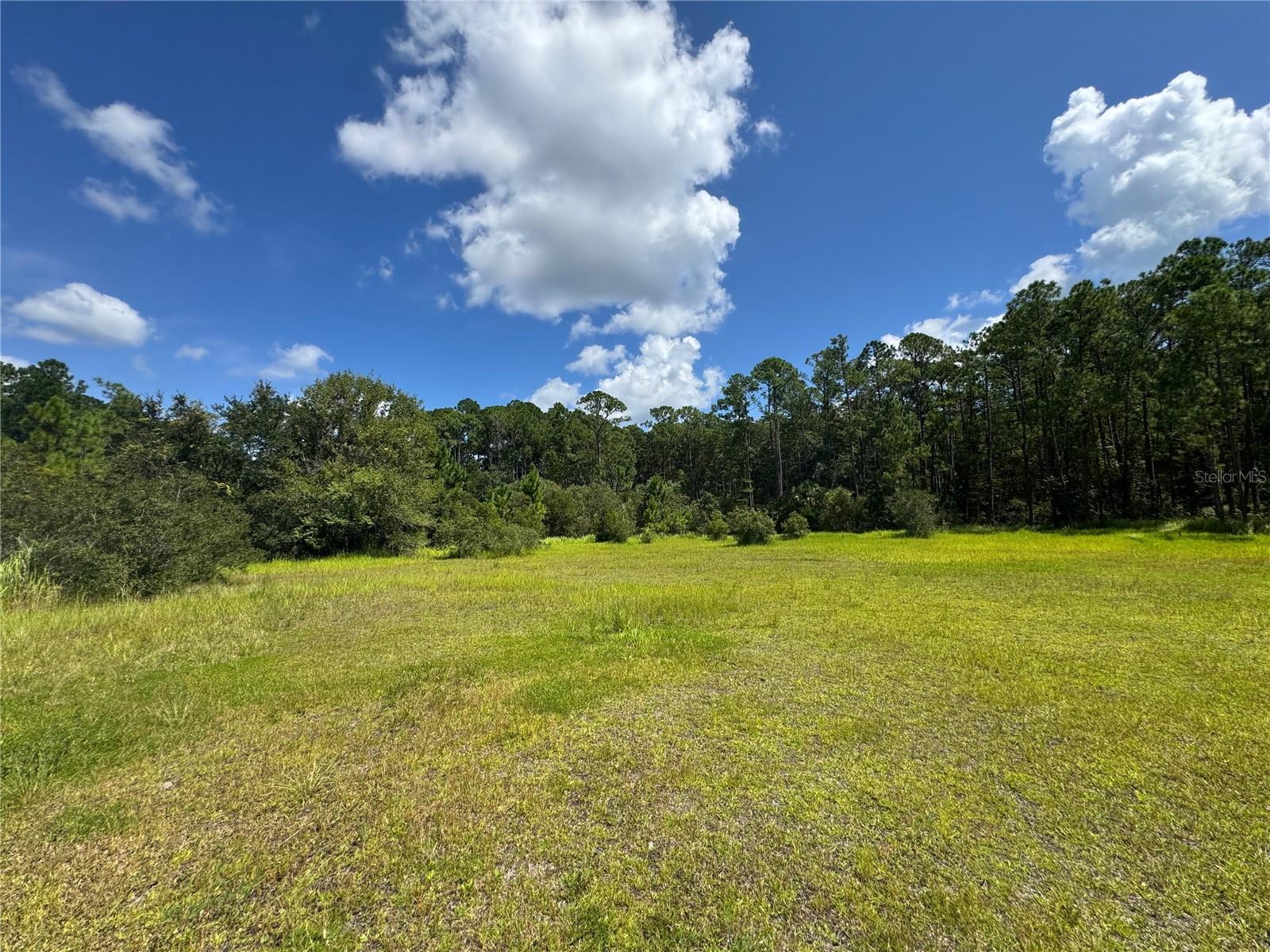 2750 Big John Dr Property Photo 21
