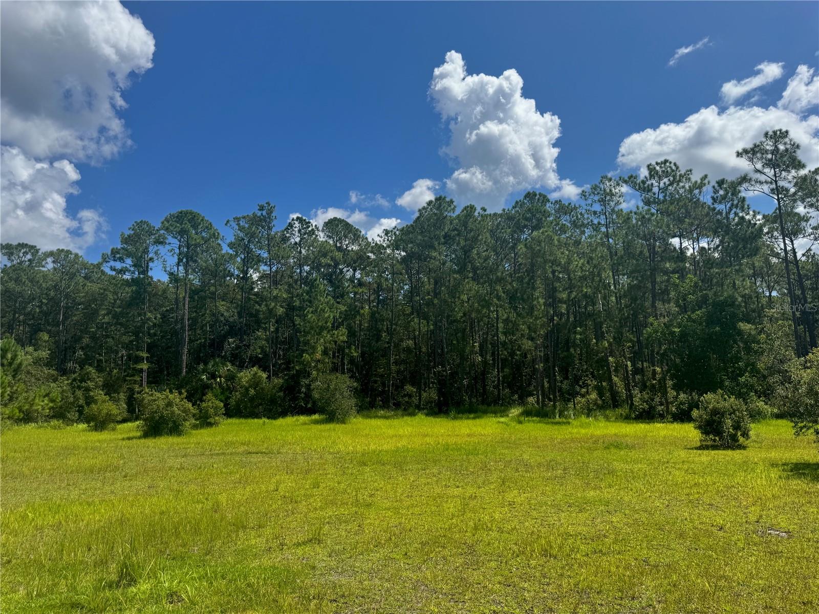 2750 Big John Dr Property Photo 22