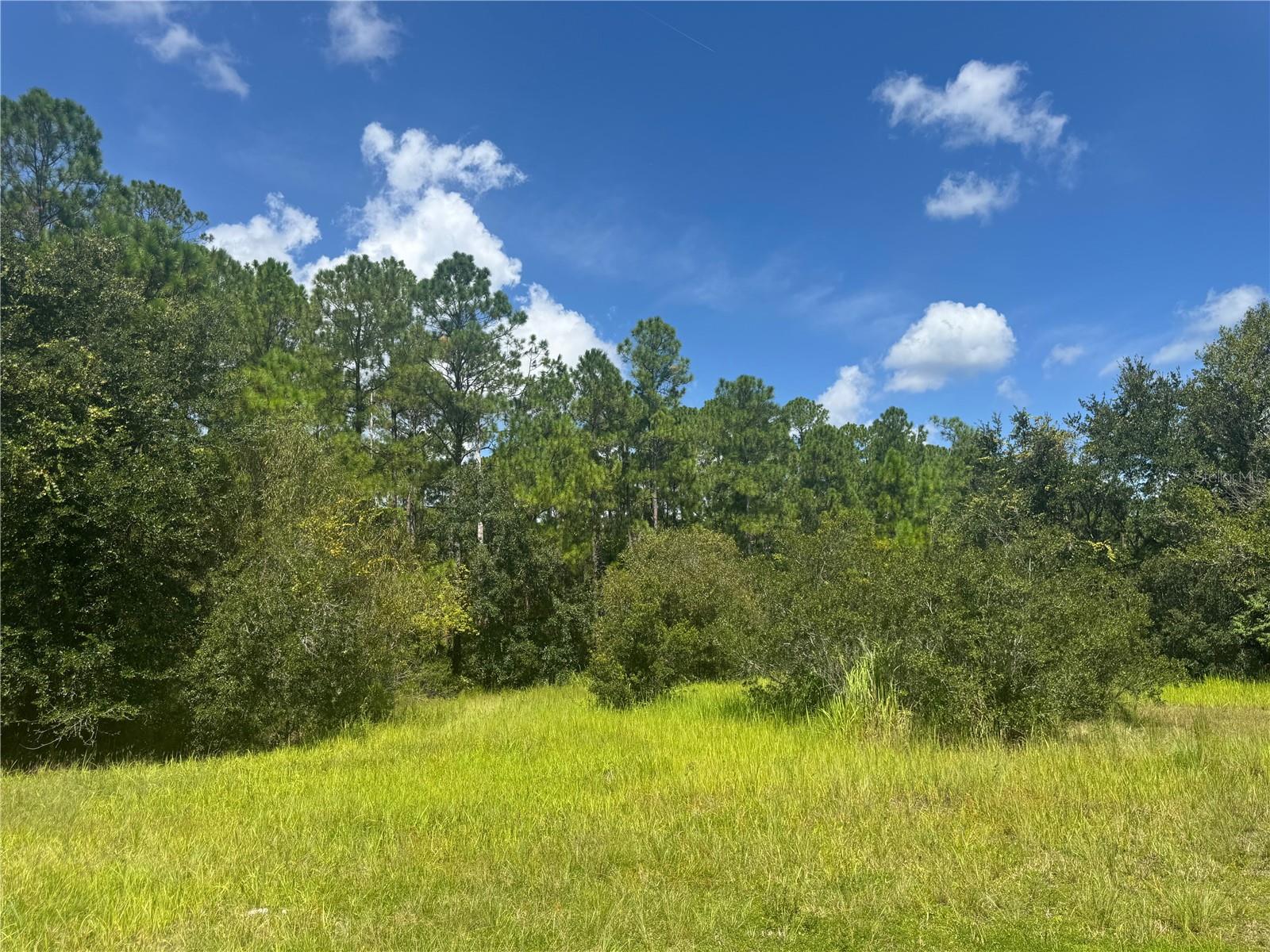 2750 Big John Dr Property Photo 24