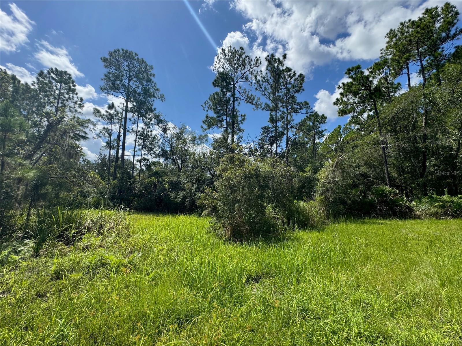 2750 Big John Dr Property Photo 25