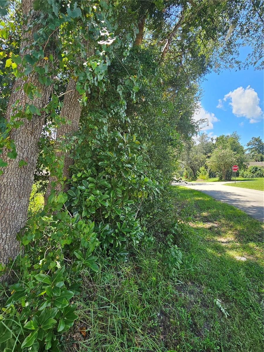 18th St Property Photo 3