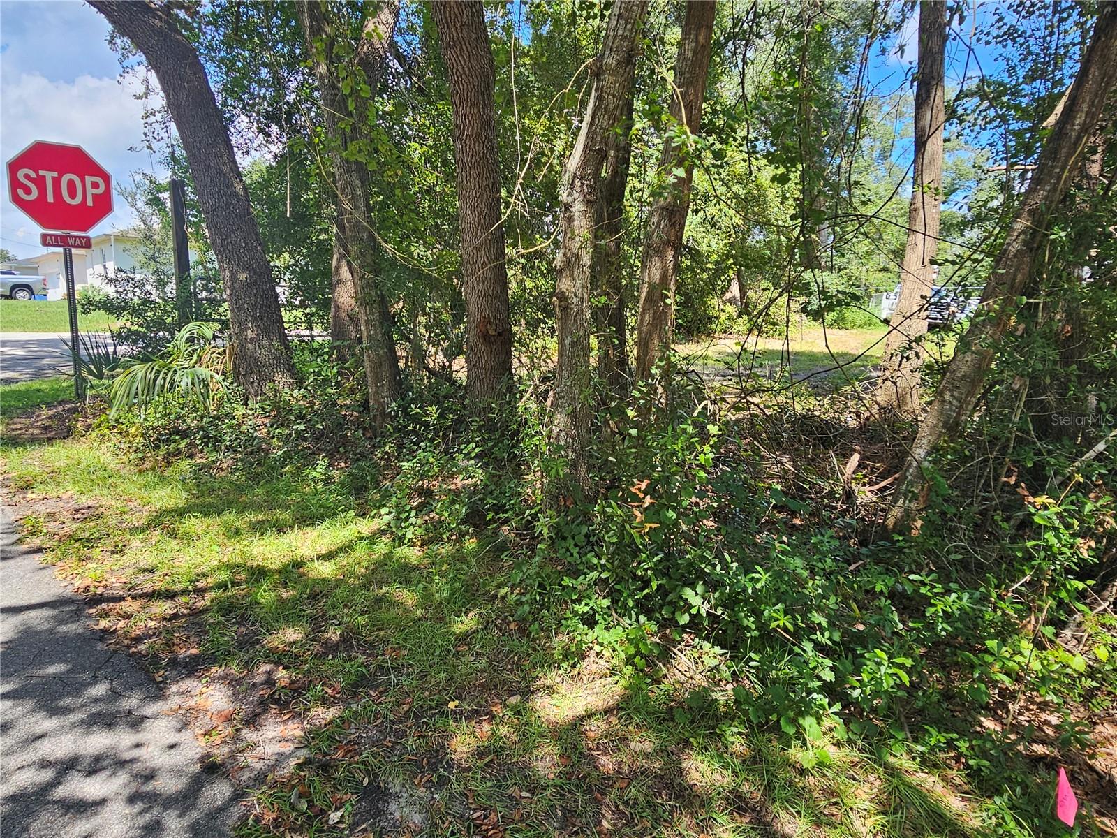 18th St Property Photo 5