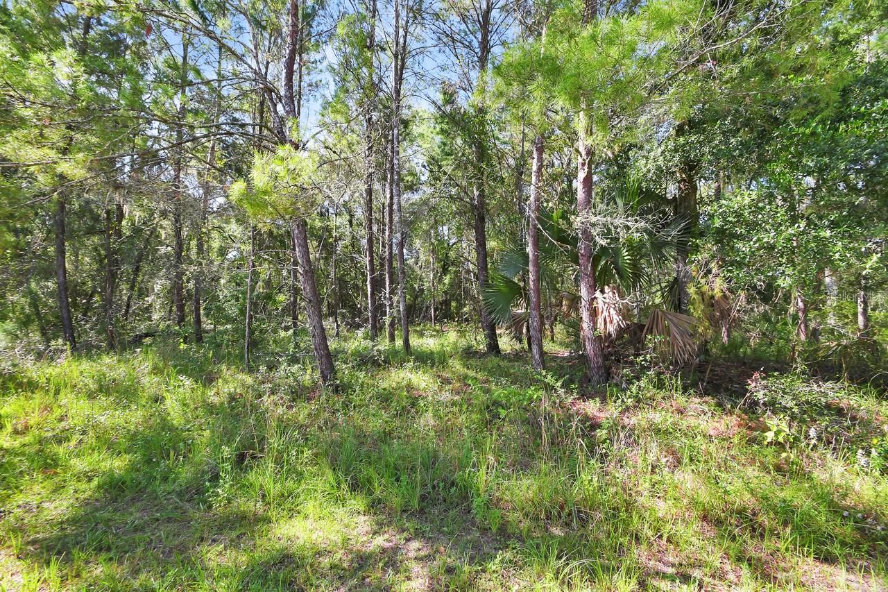 1964 S Farm Rd Property Photo 1