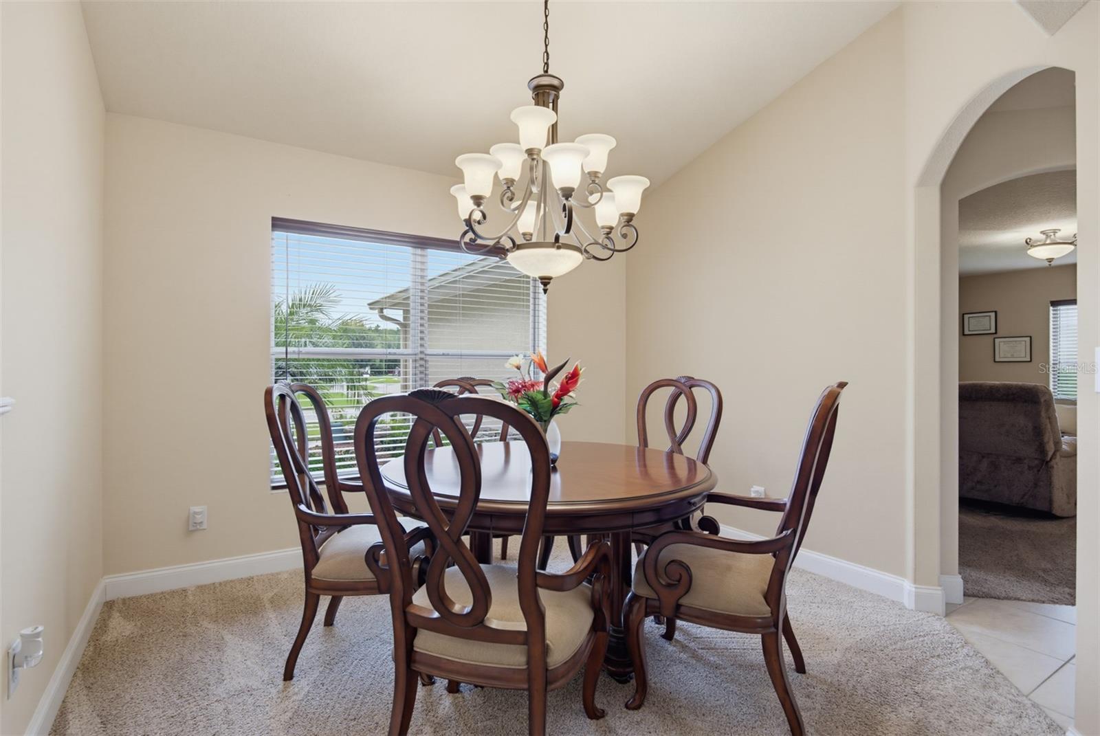 16 Westland Run Property Photo 7