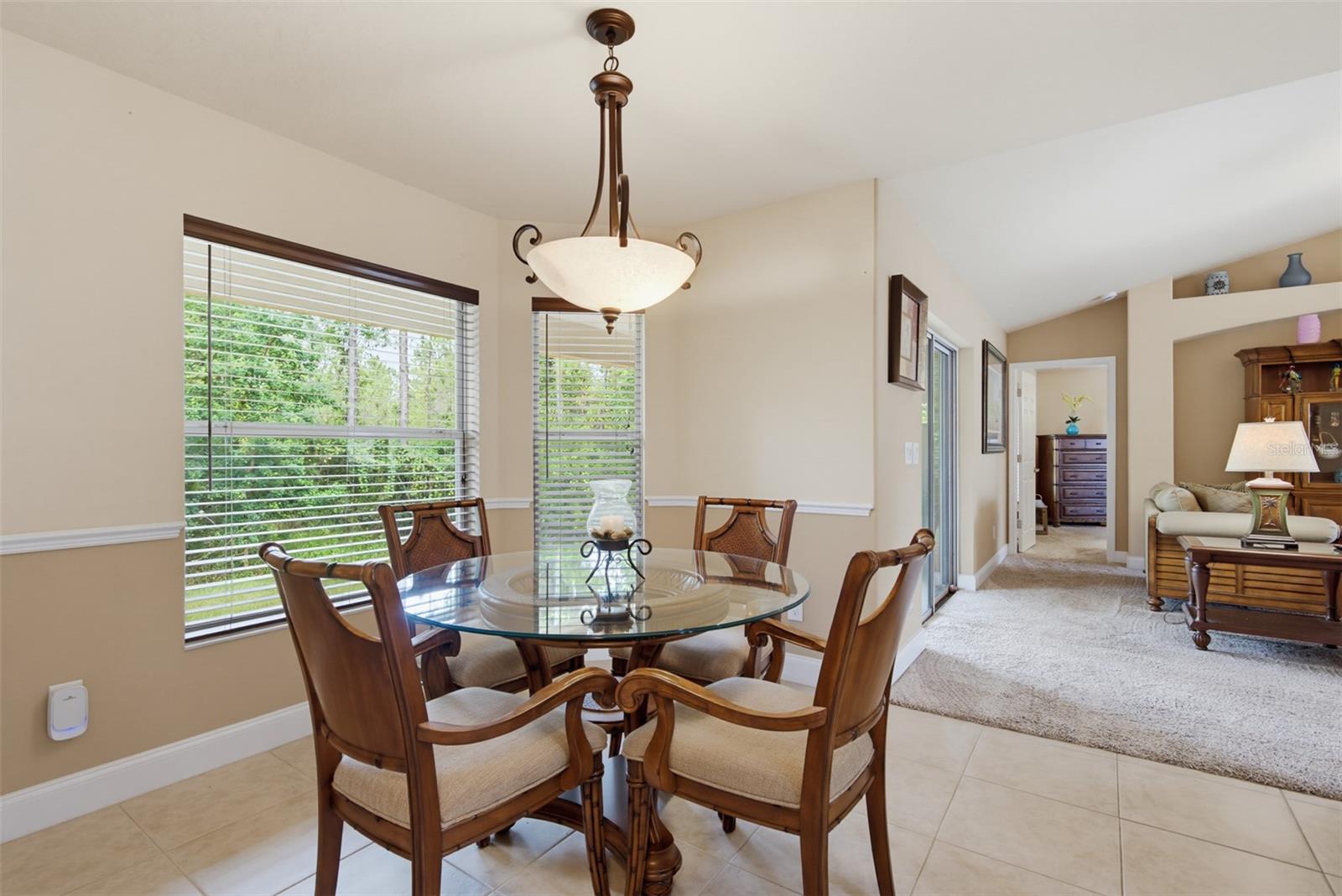 16 Westland Run Property Photo 11