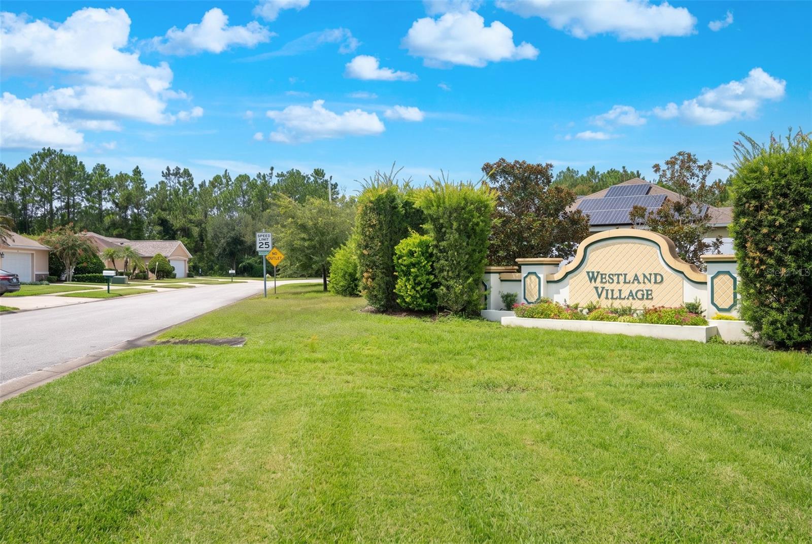 16 Westland Run Property Photo 39