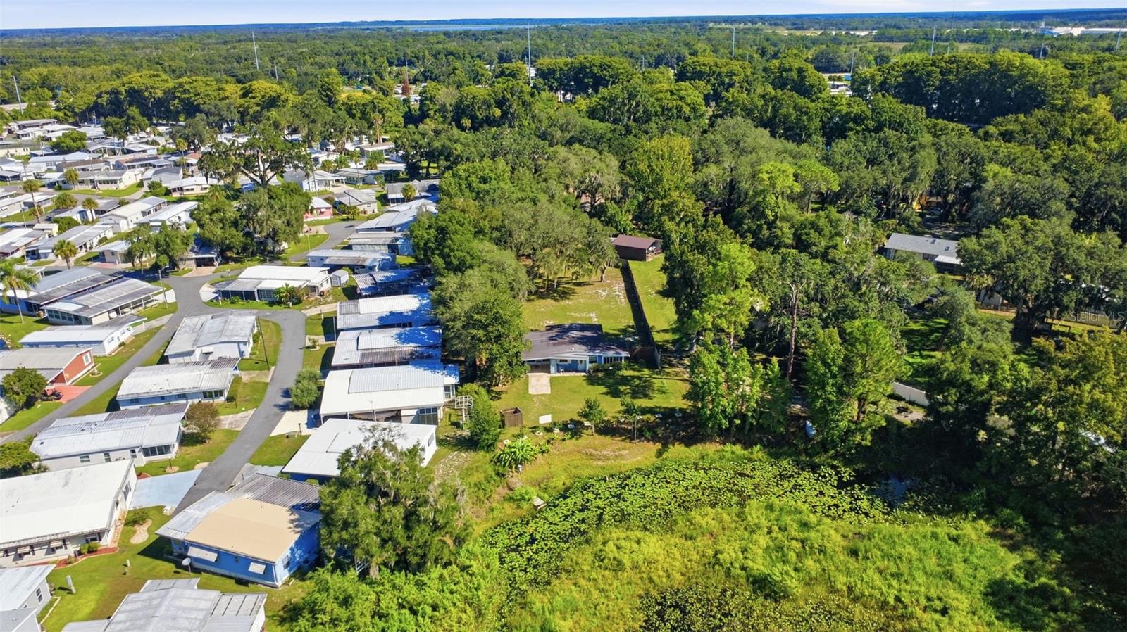 10345 N Haines Creek Rd Property Photo 36