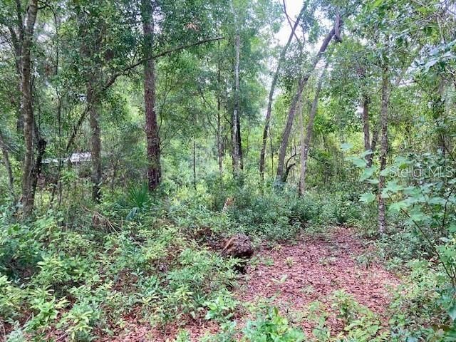 407 Raulerson Rd Property Photo 1