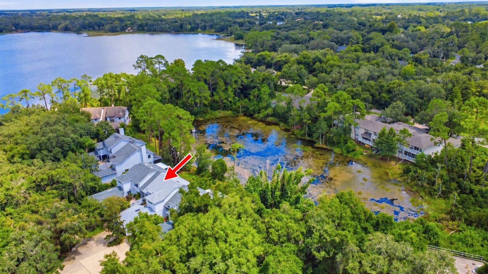 750 Old Treeline Trl Property Photo 49