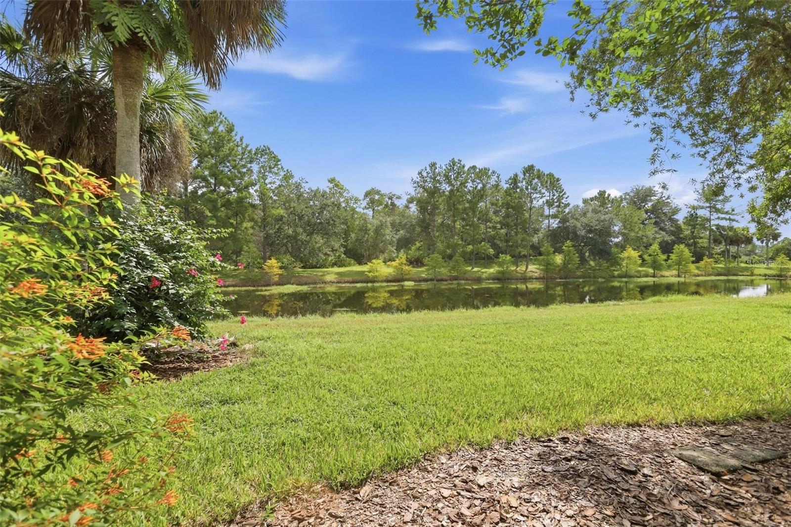226 Stonington Way Property Photo 34