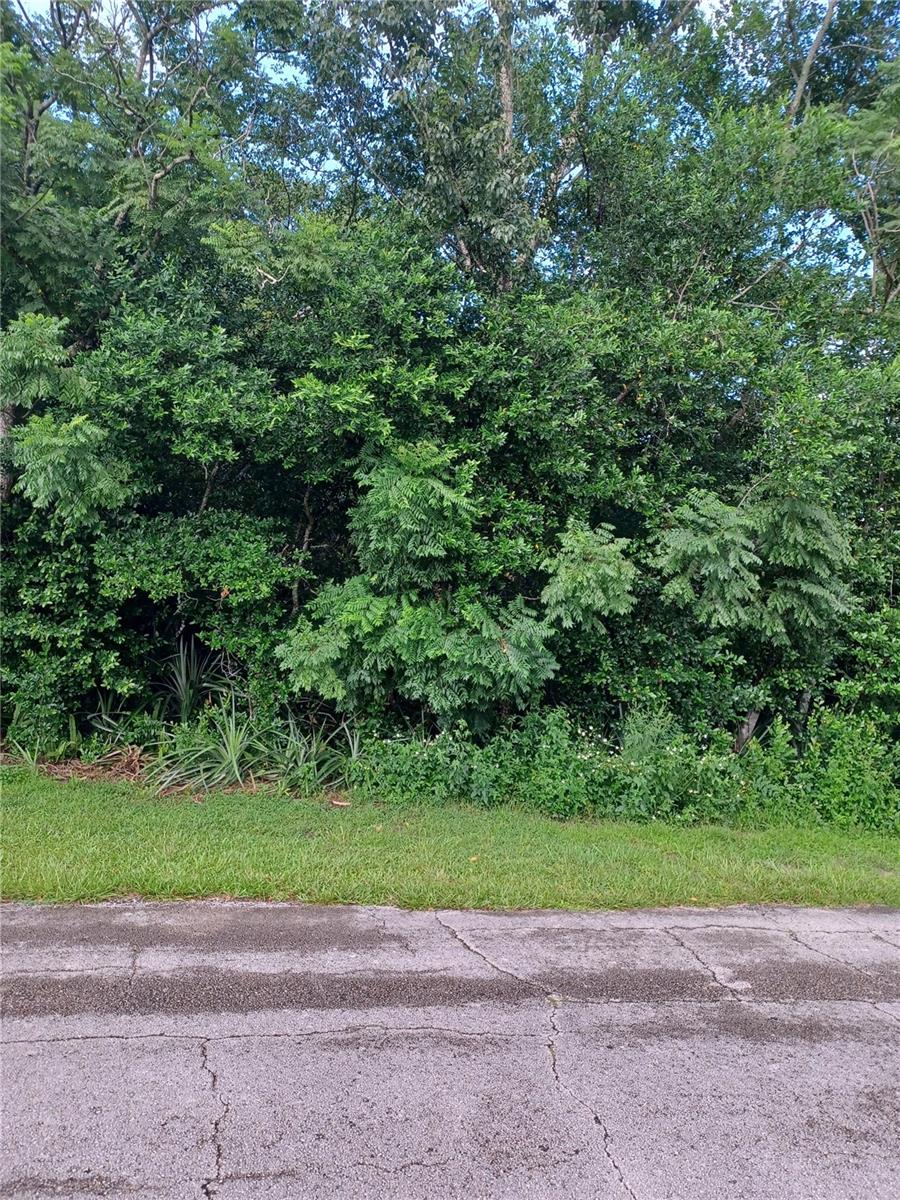2265 Banbury Ave Property Photo 1