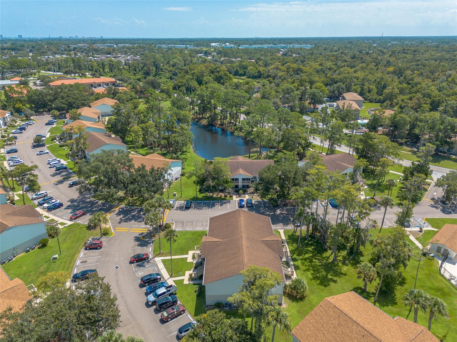 1600 Big Tree Rd #a1 Property Photo 33