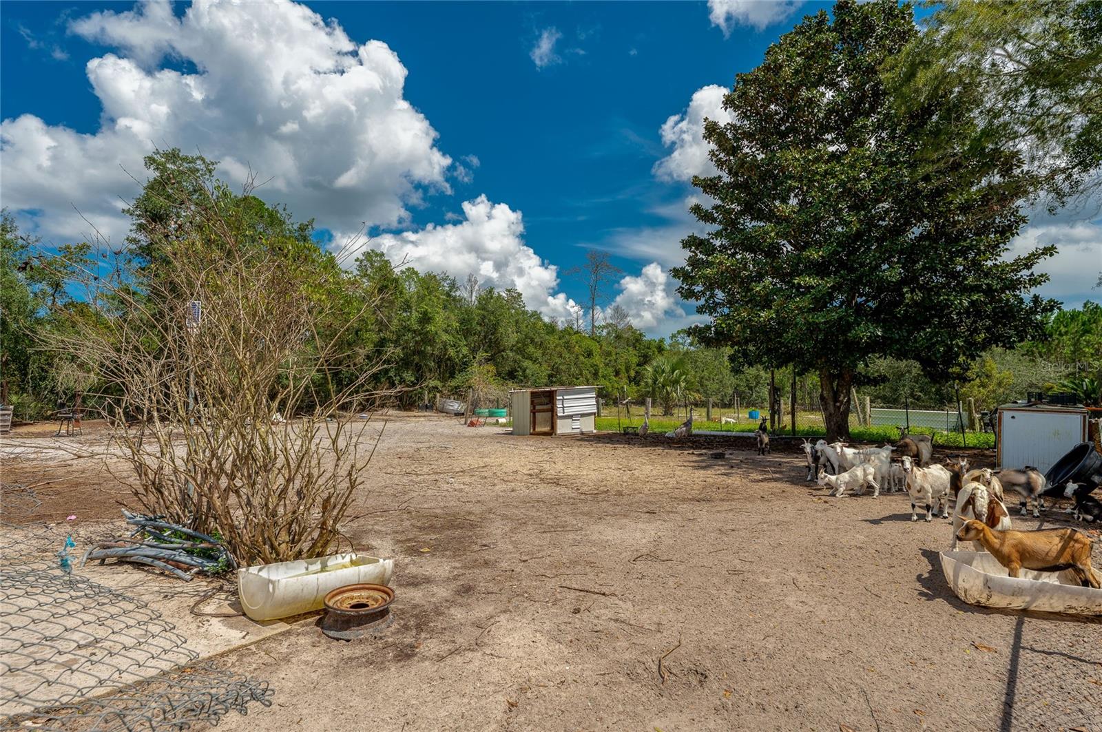 41330 Ford Rd Property Photo 31