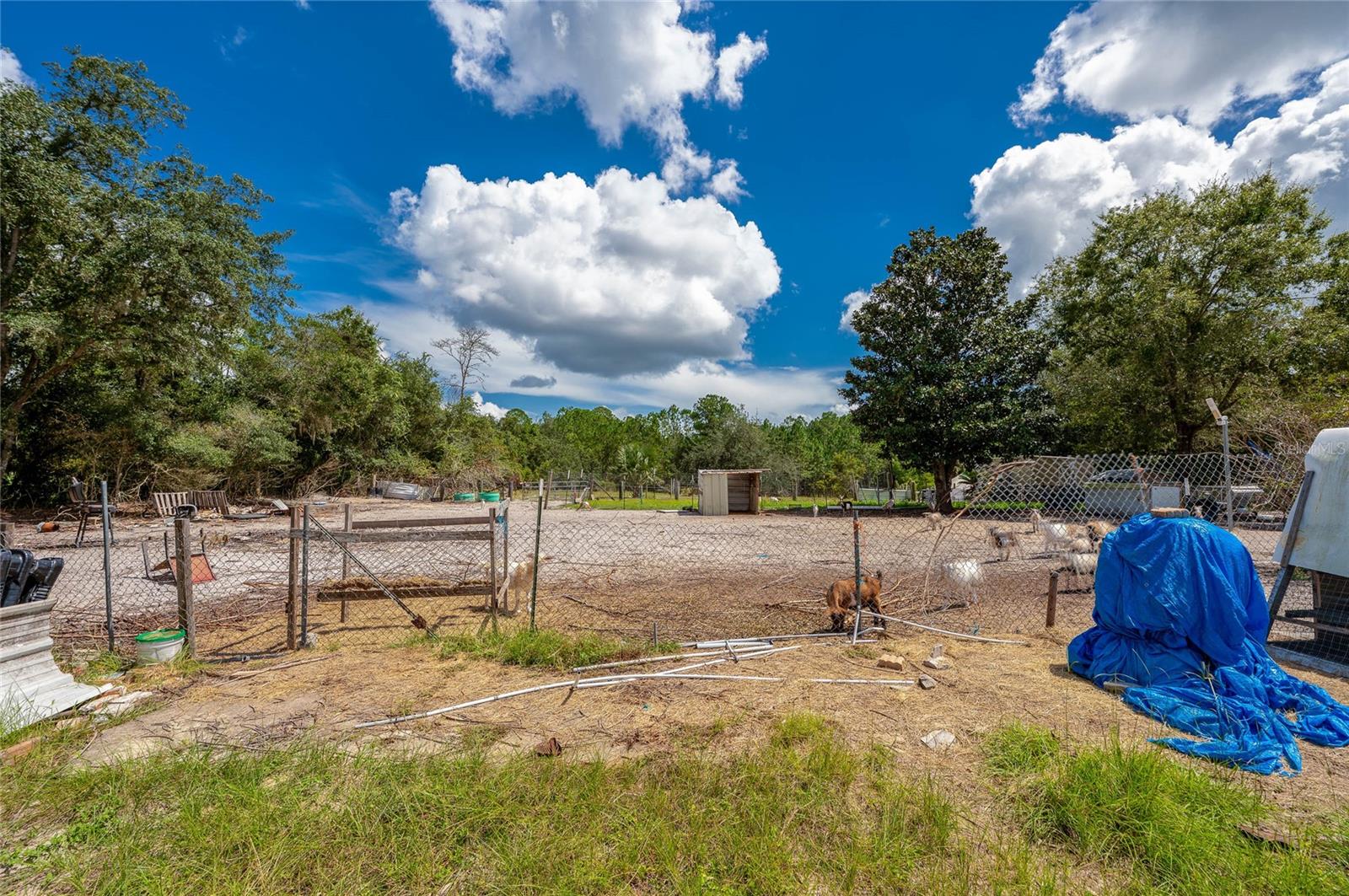 41330 Ford Rd Property Photo 32