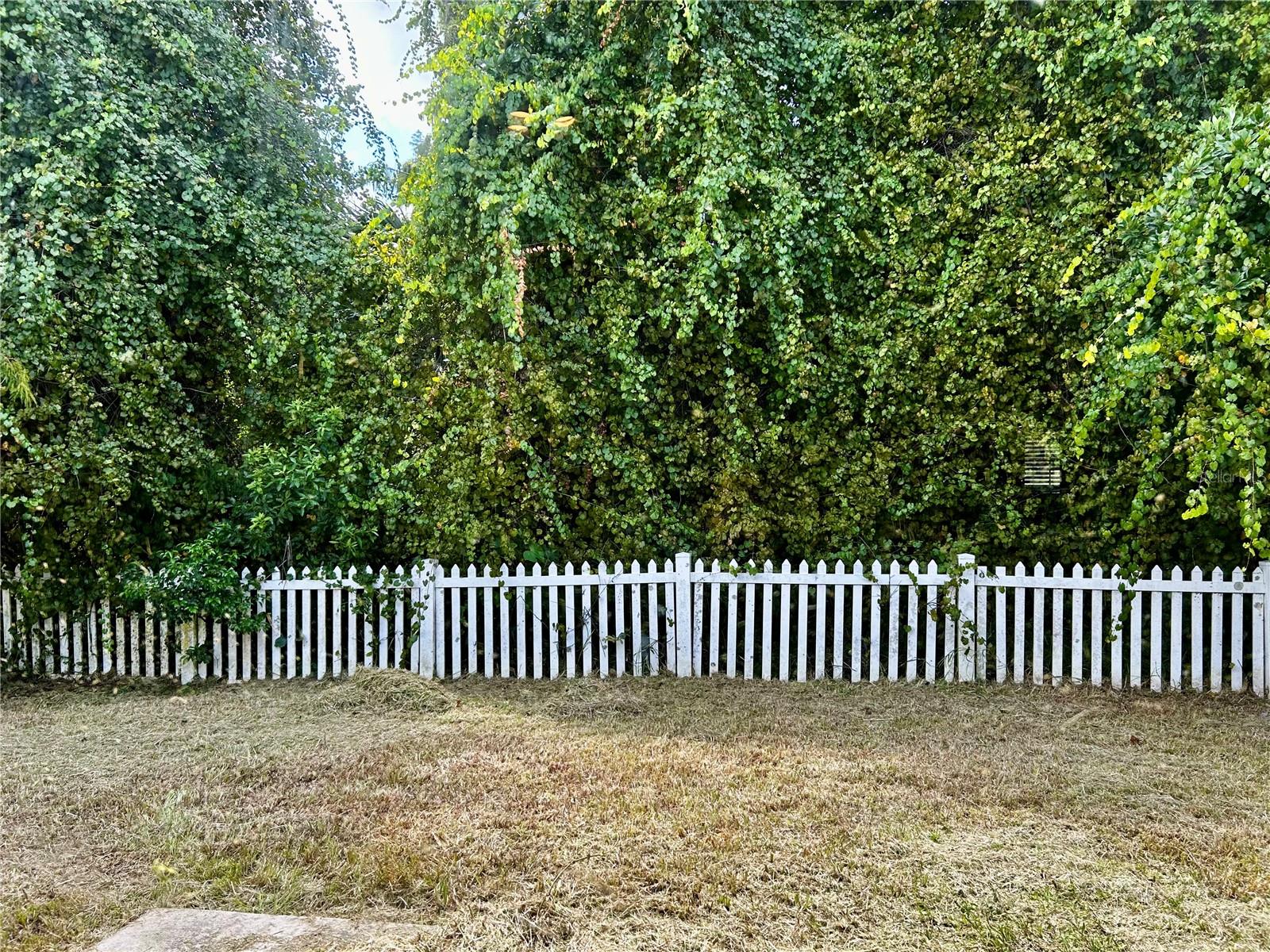 4326 Boca Woods Dr Property Photo 30