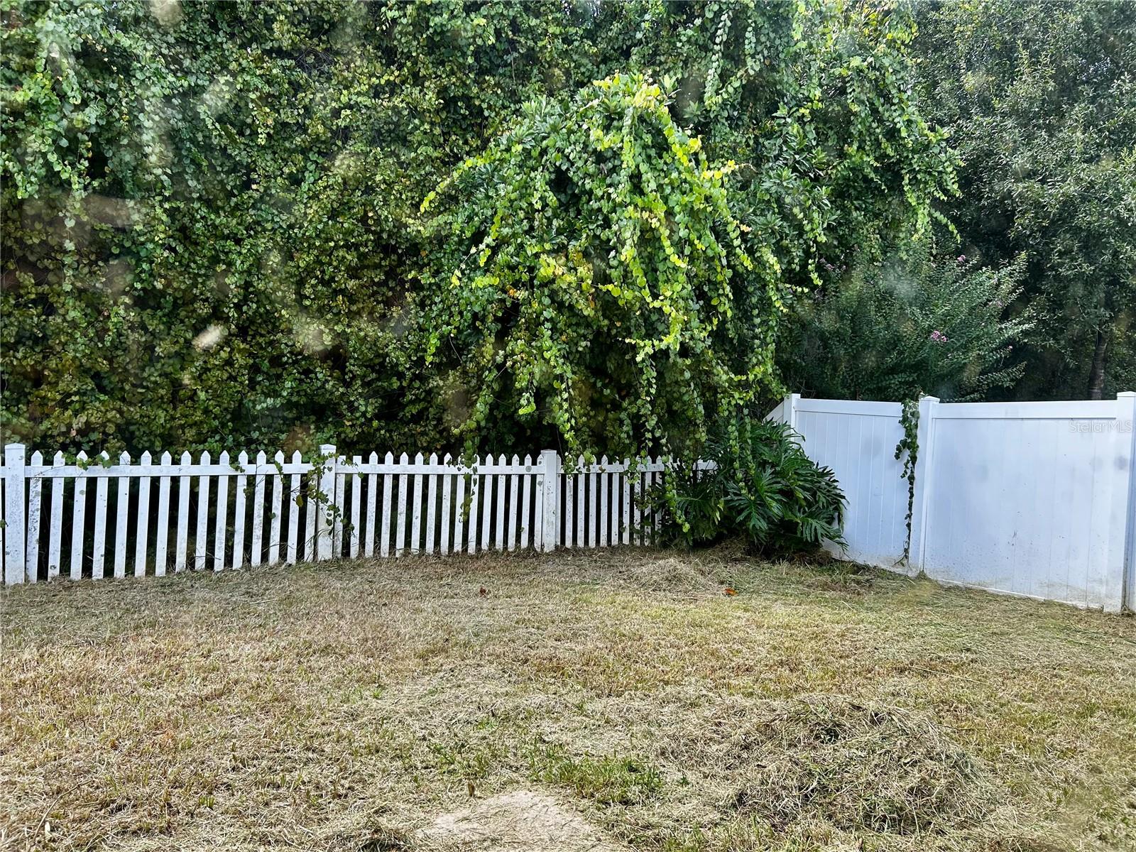 4326 Boca Woods Dr Property Photo 31
