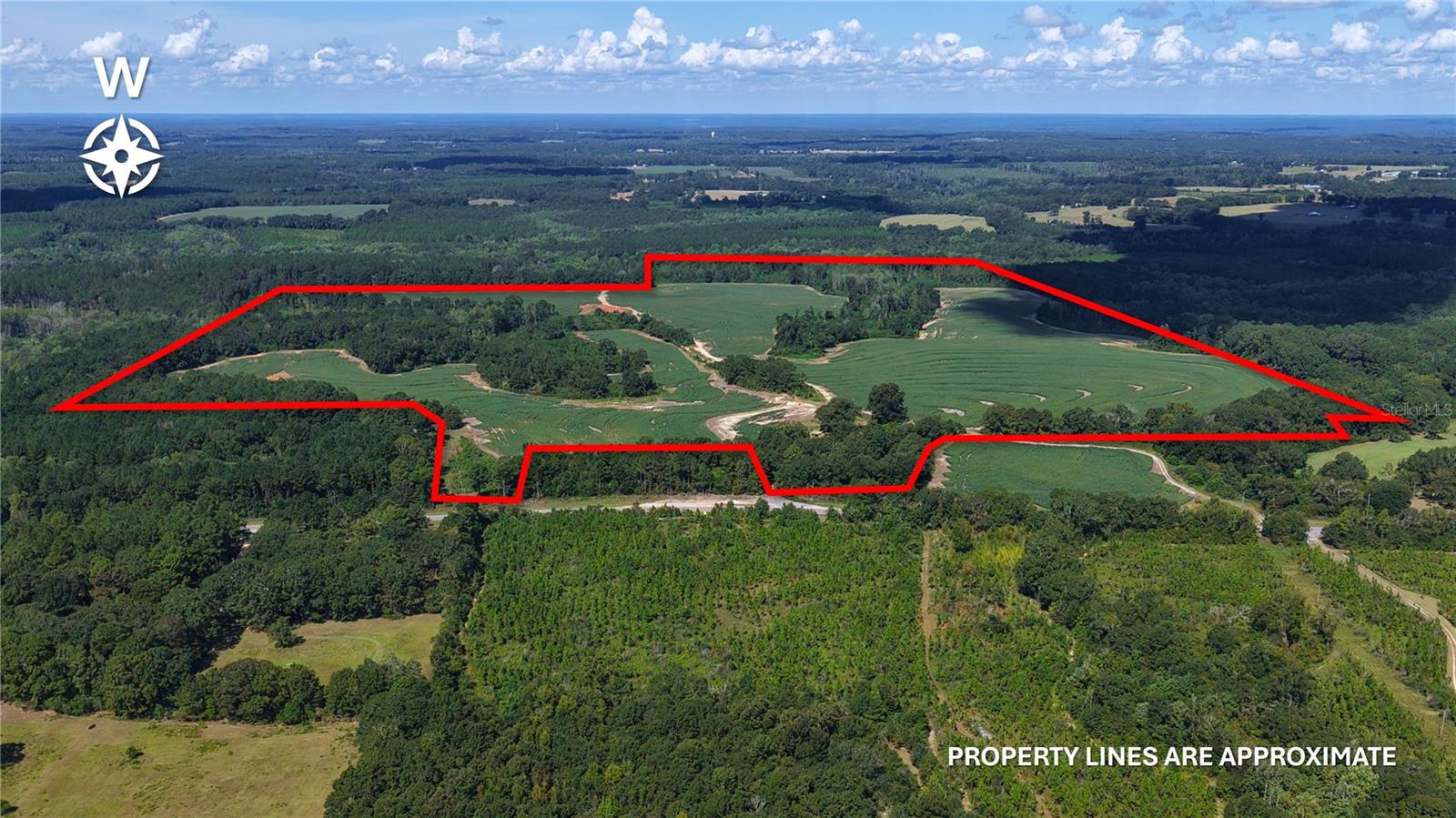 31027 Us Highway 331 Property Photo 1