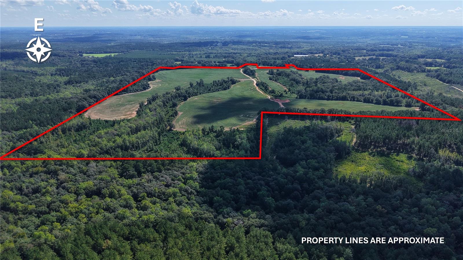 31027 Us Highway 331 Property Photo 2