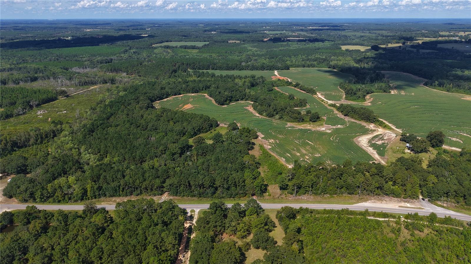 31027 Us Highway 331 Property Photo 4
