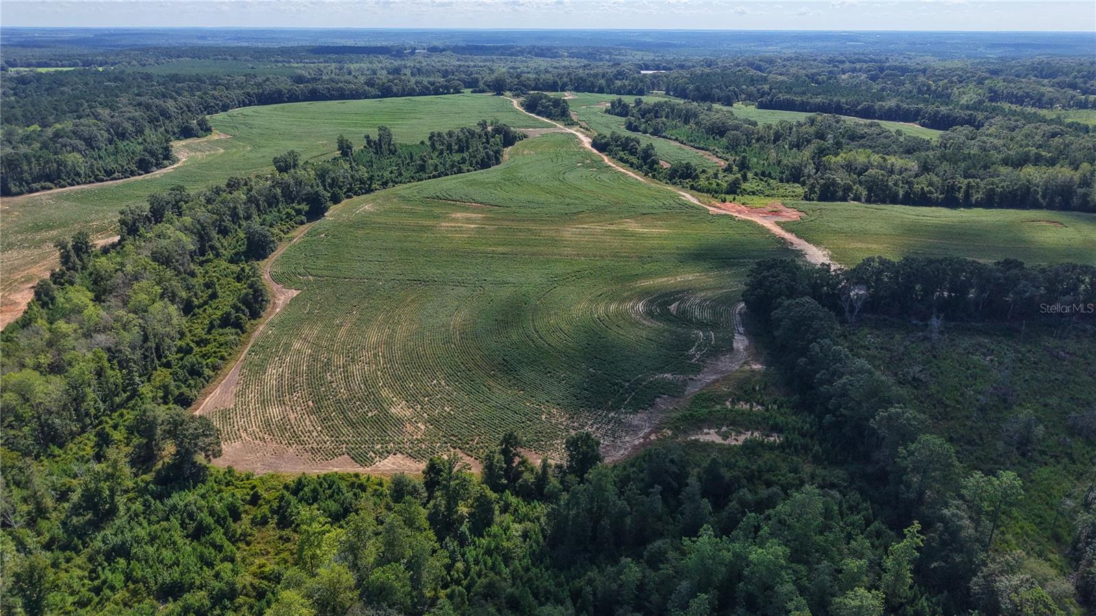 31027 Us Highway 331 Property Photo 5