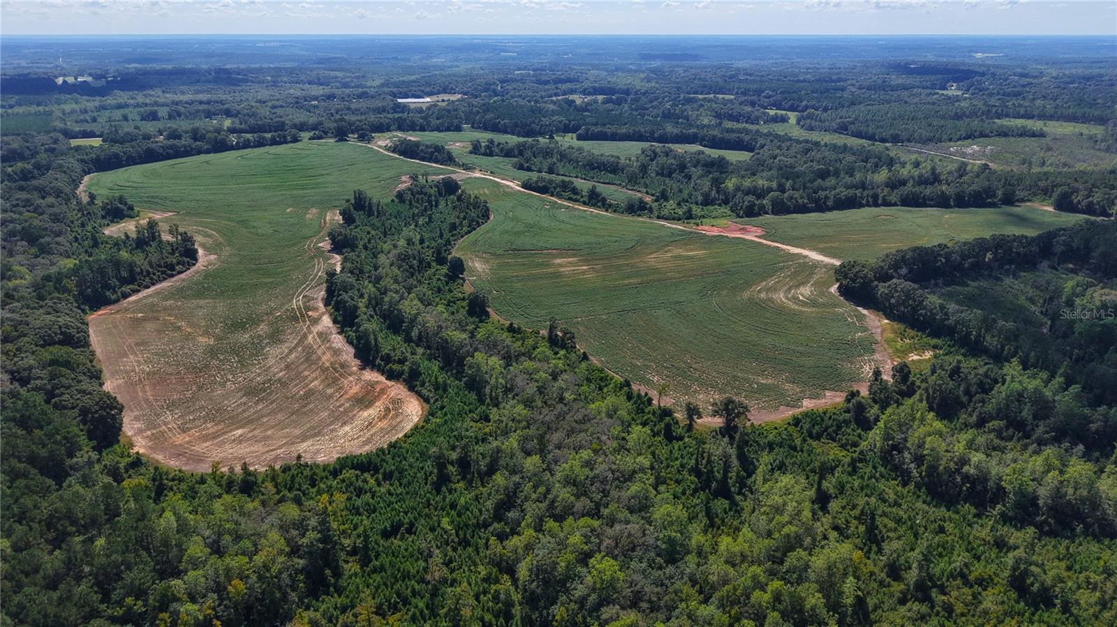 31027 Us Highway 331 Property Photo 6