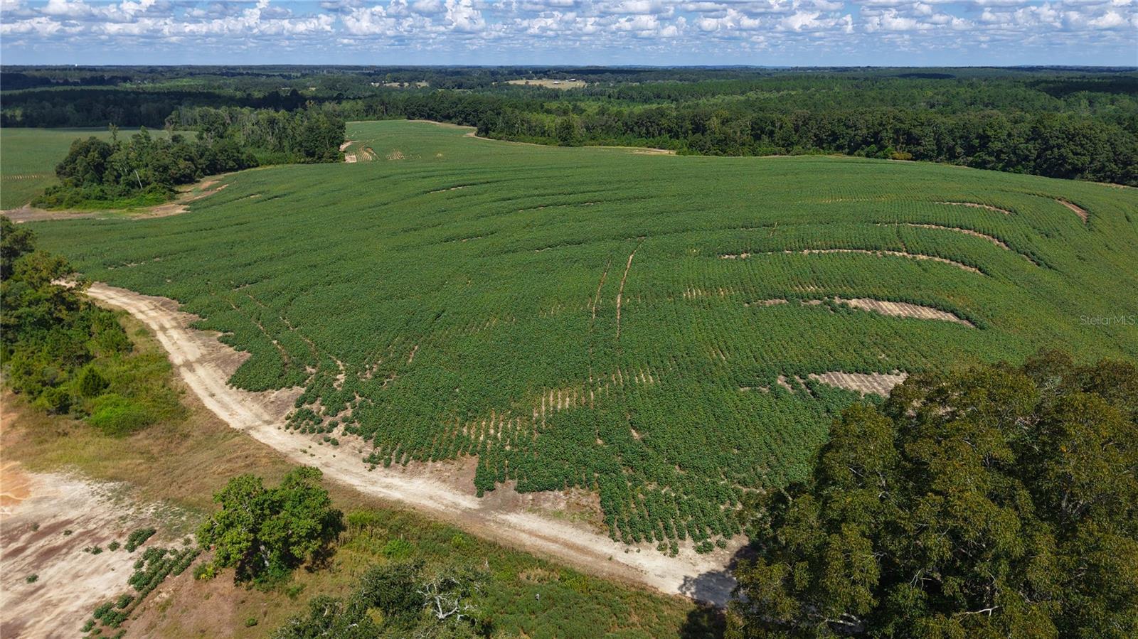 31027 Us Highway 331 Property Photo 9
