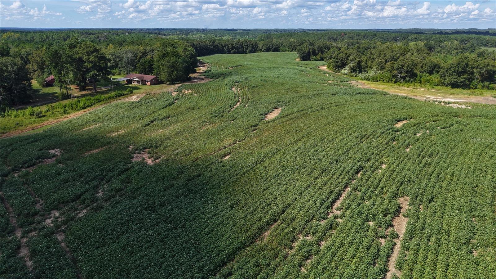 31027 Us Highway 331 Property Photo 10