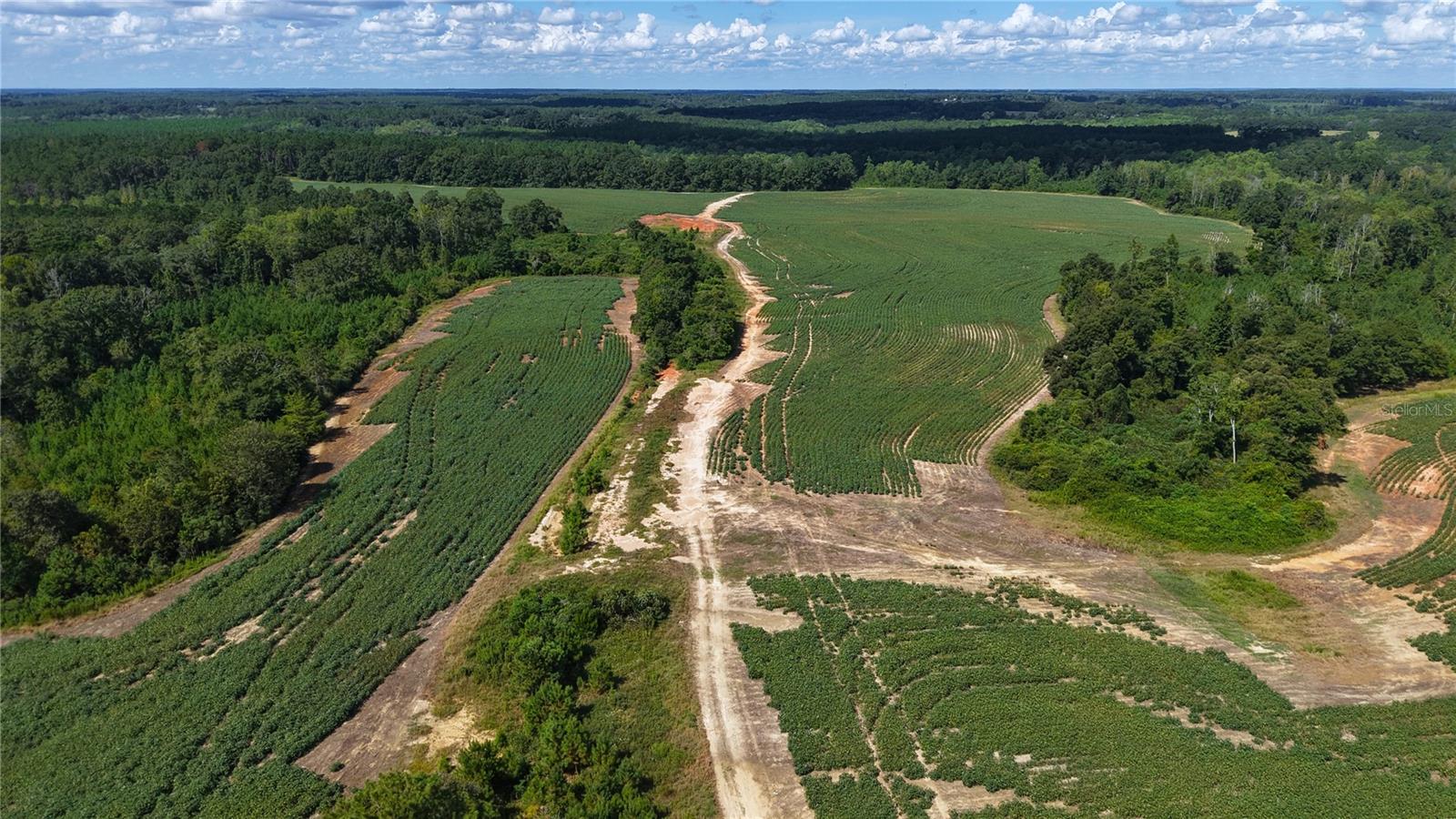 31027 Us Highway 331 Property Photo 12
