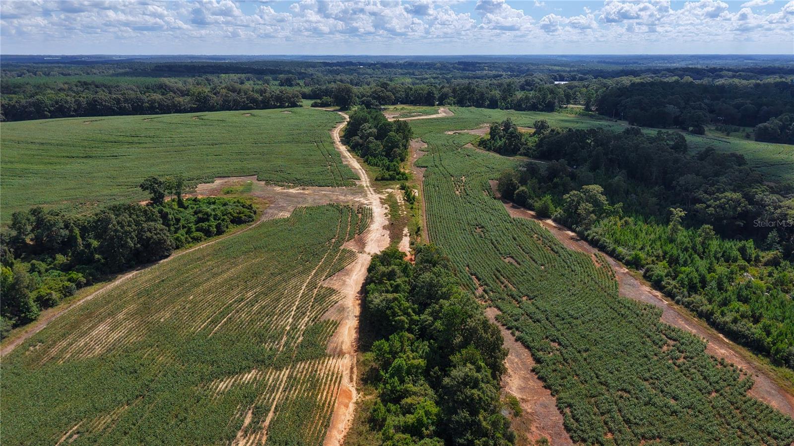 31027 Us Highway 331 Property Photo 14